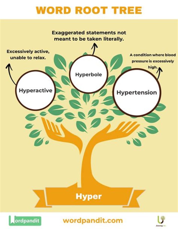 In the term hyperactive the prefix hyper- means?
