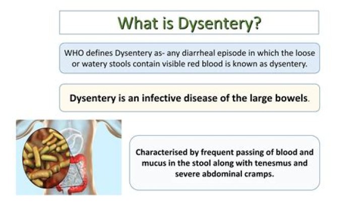 What does bacillary dysentery?